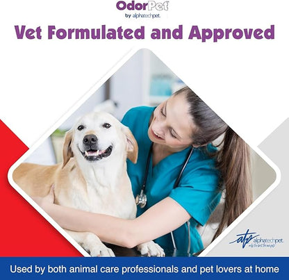 OdorPet Pet Stain Remover and Odor Eliminator - 64 Oz (Makes 2.55 Gallons of Working Solution) Non Staining, Professional Strength, Black Cherry Scent by Alpha Tech Pet