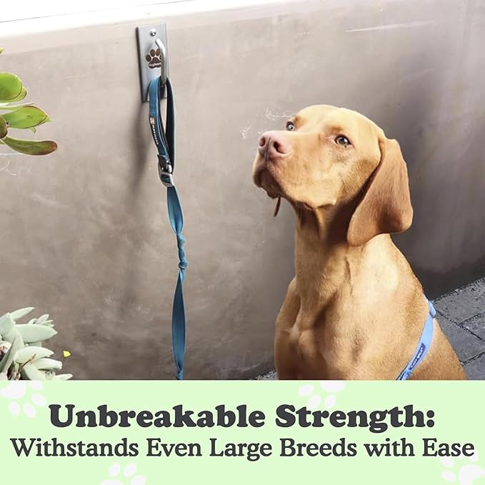Canine Hitch- Secure Dog Leash Parking Mounted Indoor – Outdoor Wall Hook - Tie Out Stainless Steel Practical Lead Management for Home &amp; Business, Standard Size 2 Pack