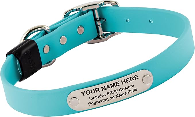 Biothane Custom Dog Collar – Waterproof, Stink-Proof Personalized Collar with Name &amp; Phone Number – Durable, Many Sizes and Colors – Assembled in USA (Sky Blue)