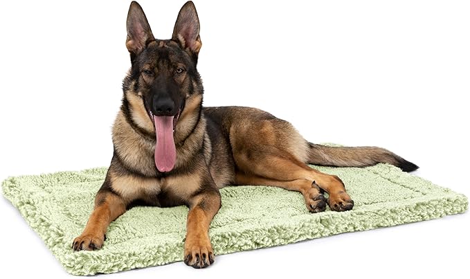 Stoutwool Indestructible Dog Bed - Fluffy Chew Proof Dog Crate Pad - Tough Kennel Pad for Aggressive Chewers - Ideal for Extra Large Breeds &amp; Fits 48-Inch Crate - 47"x29", Gleam