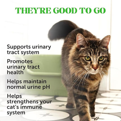 Cat Urinary Tract Health Crunchy &amp; Creamy Chews - Promotes Healthy Digestion &amp; Normal Bladder Function with Cranberry, Antioxidants, &amp; Probiotics - Gut + Bladder Support Supplement (30 Day Supply)