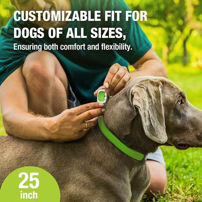 EcoVenger Flea &amp; Tick Collar Repellent 2-Pack Green, Fits Both Dogs &amp; Cats, Built-in Pant-Based Formula Strong Repellency Slow Release, Lasting Deterrence and Protection, Pleasant Aroma, Waterproof