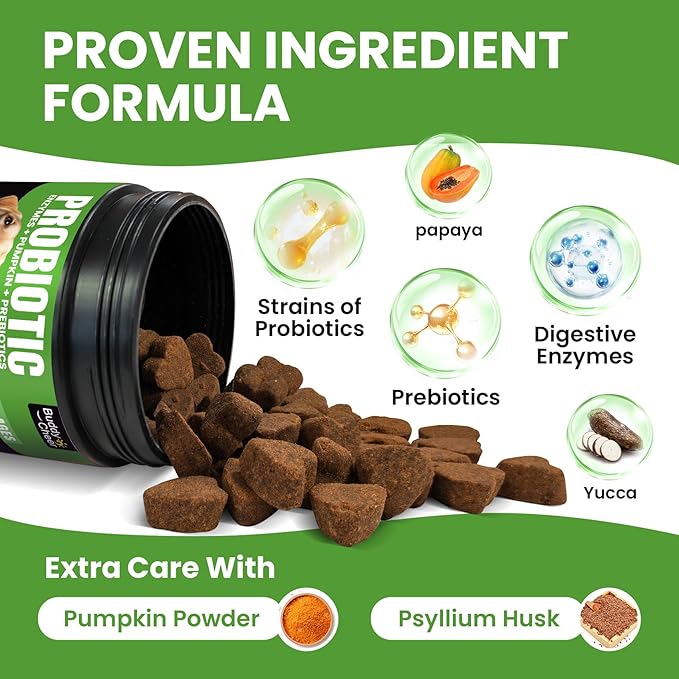 Probiotics for Dogs - Dog Probiotics with 5 Enzymes &amp; 4 Prebiotics for Itchy Skin, Pet Probiotics lab for Digestion &amp; Gut Support, Helps Diarrhea, Yeast Infection, Allergies &amp; Immune System -180 Chews