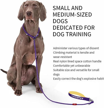 Dog Anti-Slip Leash 5FT with Metal Stopper - Durable No-Pull Training Lead for Small, Medium &amp; Large Dogs - Comfortable Handle Nylon Rope, Tangle-Free Pet Walking Leash (Purple, 5.6FT)