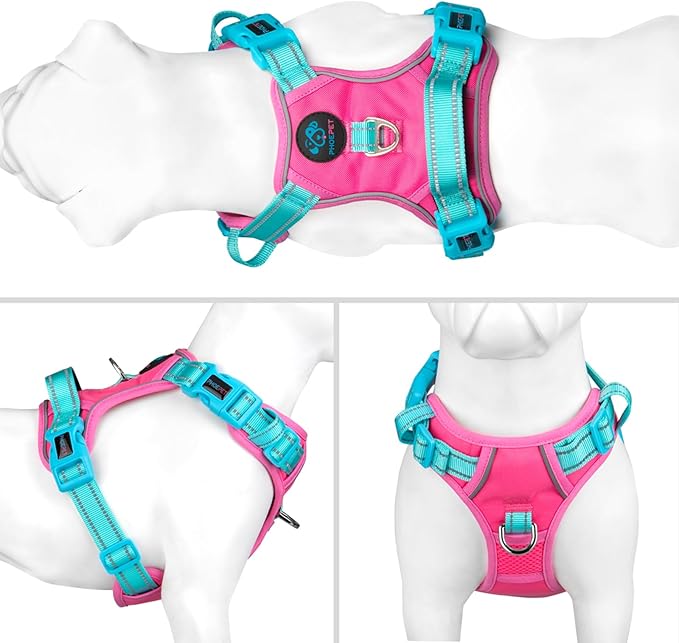 PHOEPET No Pull Dog Harness, Unique Colors Reflective Adjustable Dog Vest, with Soft Training Handle Metal Clips for Small Medium Large Dogs (Pink Base &amp; Green Straps,XL)