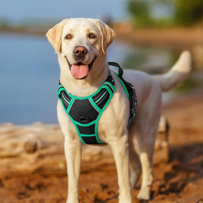 rabbitgoo Dog Harness No Pull with 2 Leash Clips, Adjustable Soft Padded, Reflective Oxford No Choke Pet Vest with Easy Control Handle for Large Dogs, Black &amp; Turquoise, L