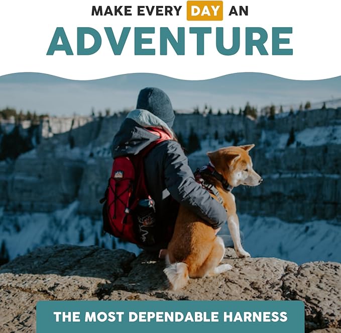 Embark Adventure Dog Harness, Reflective Trim XL Dog Harness for Extra Large Dogs No Pull - Military Grade Nylon, 2 Leash Clips &amp; Gel Lined Handle.