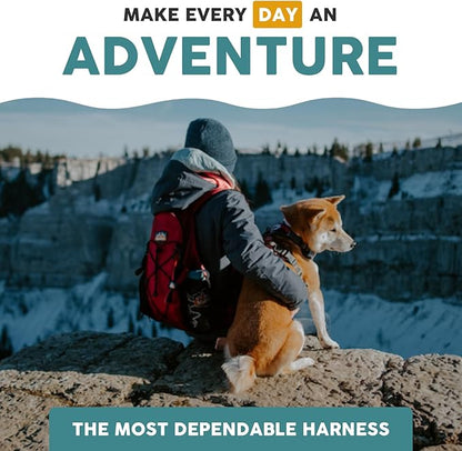 Embark Adventure Dog Harness, Reflective Trim XL Dog Harness for Extra Large Dogs No Pull - Military Grade Nylon, 2 Leash Clips &amp; Gel Lined Handle.