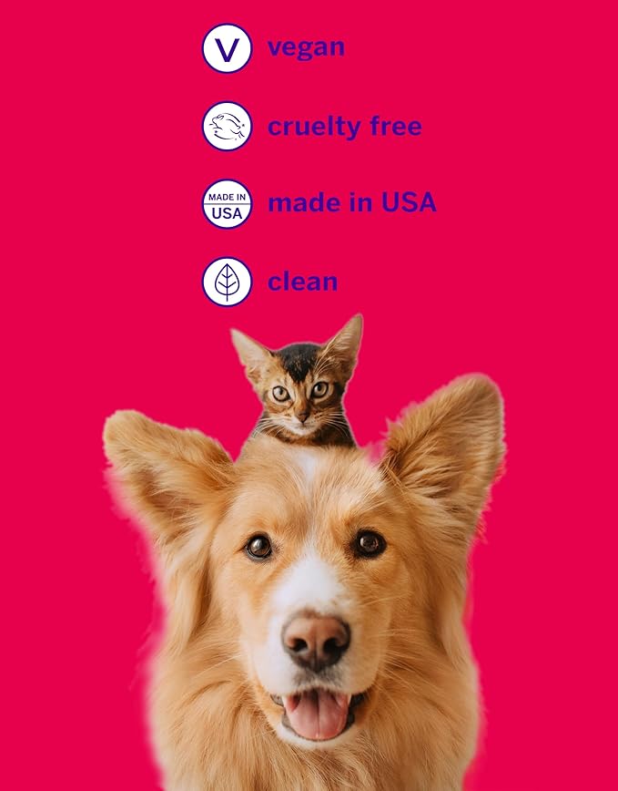 Petsmile Professional Pet Teeth Brushing Kit for Cats &amp; Dogs - Only VOHC Accepted Toothpaste &amp; Patented Toothbrush - Proven to Control Plaque &amp; Tartar Calprox Formula (Rotisserie Chicken, 2.5 Oz)