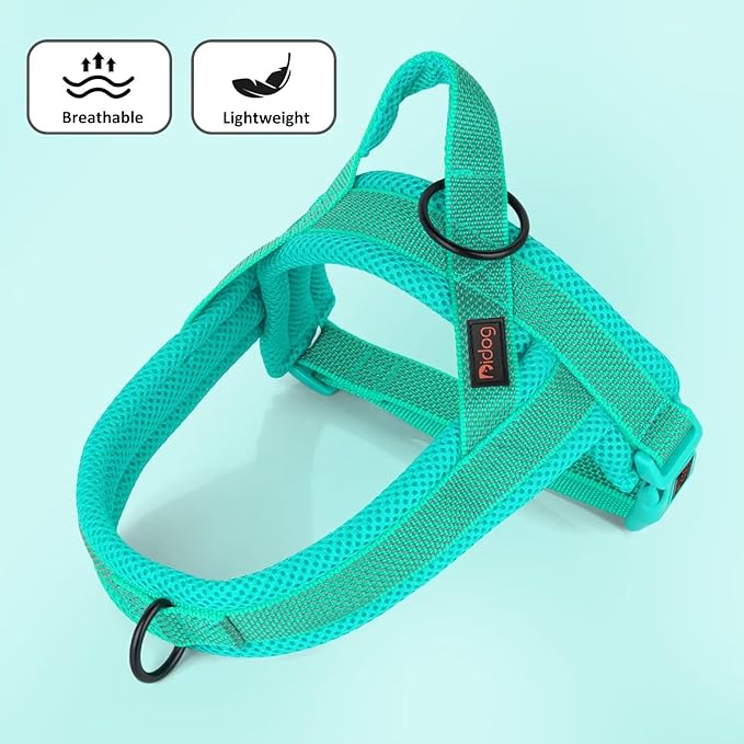 Didog No Pull Dog Harness with Breathable Mesh Padded, Full Reflective &amp; Quick Fit Adjustable Vest Harness, Easy for Training Walking for Small &amp; Medium and Large Dogs (Green, L:Chest 26-32")