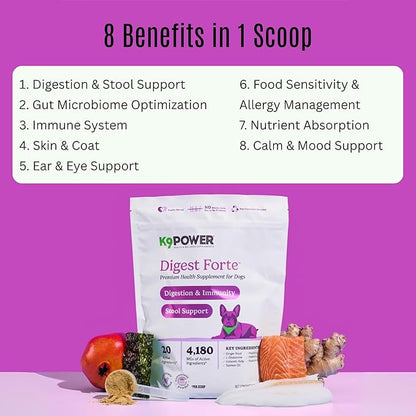 K9 Power Digest Forte for Dogs 1lb – Digestive, Immunity &amp; Calming Support - Enhances Nutrient Absorption - Balances Gut Flora - Eases Discomfort &amp; Boost Mood
