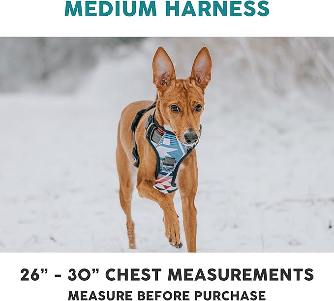 Embark Adventure Dog Harness, Reflective Trim No Pull Dog Harness Medium Sized Dogs - Military Grade Nylon, Front Clip with Gel Lined Handle.