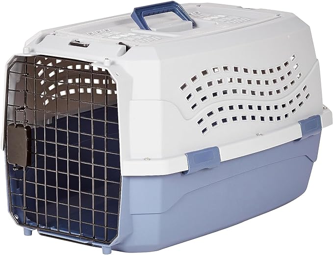 Amazon Basics 2-Door Top-Load Hard-Sided Dogs, Cats Pet Travel Carrier, Gray &amp; Blue, 22.8"L x 15.0"W x 13.0"H
