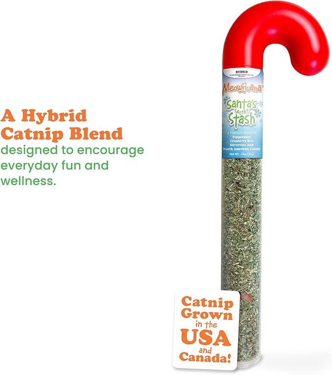 Meowijuana | Santa&