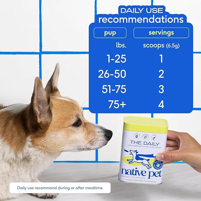 Native Pet The Daily Dog Supplement (60 Scoops) &amp; Salmon Oil for Dogs &amp; Cats (8 Oz) - 11 in 1 Multivitamin &amp; Pure Omega-3 Fish Oil Supplement for Skin &amp; Coat, Joint, Heart Health &amp; Anti-Inflammatory