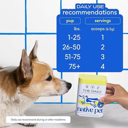 Native Pet The Daily Dog Supplement (60 Scoops) &amp; Salmon Oil for Dogs &amp; Cats (8 Oz) - 11 in 1 Multivitamin &amp; Pure Omega-3 Fish Oil Supplement for Skin &amp; Coat, Joint, Heart Health &amp; Anti-Inflammatory