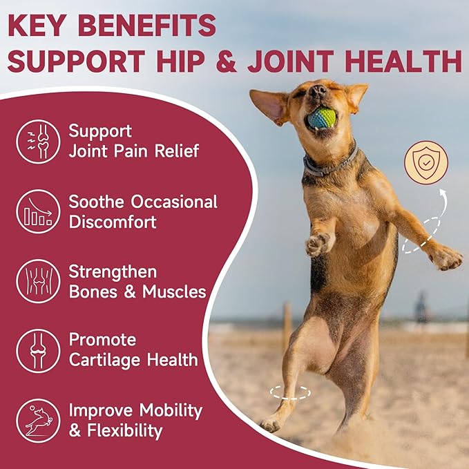 Glucosamine for Dogs - Joint Supplement for Dogs with Chondroitin, MSM, Omega 3, Hemp, Turmeric for Dog Joint Pain Relief, Dog Joint Supplement with Calcium Support Cartilage &amp; Bone Health, 180 Chews