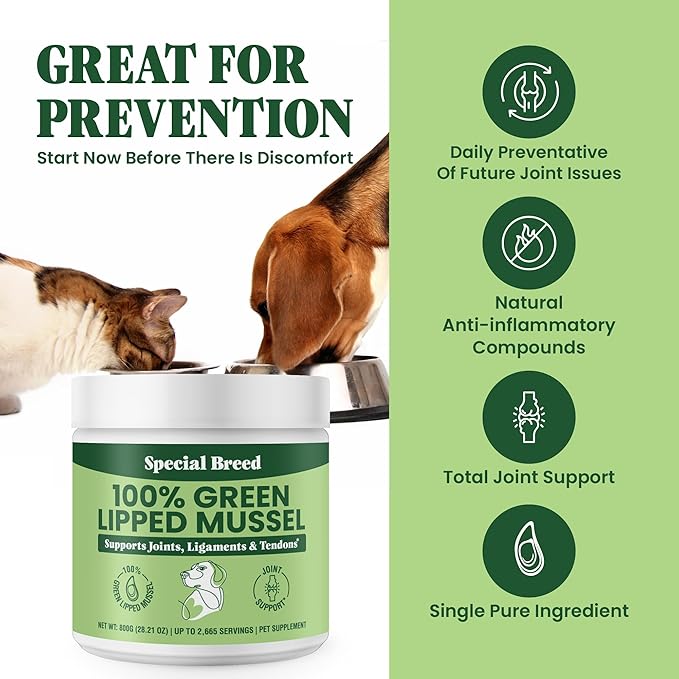 Green Lipped Mussel Powder for Dogs &amp; Cats - 100% New Zealand Green Lipped Mussels - Natural Hip &amp; Joint Supplement for Joints, Tendons, Ligaments, Muscles - 800 Grams - Up to 2,665 Servings