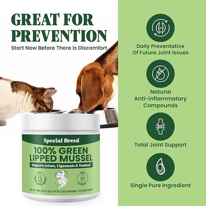 Green Lipped Mussel Powder for Dogs &amp; Cats - 100% New Zealand Green Lipped Mussels - Natural Hip &amp; Joint Supplement for Joints, Tendons, Ligaments, Muscles - 800 Grams - Up to 2,665 Servings