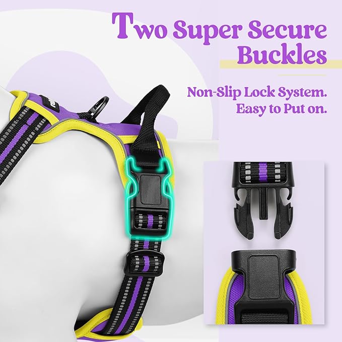 rabbitgoo Dog Harness No Pull with 2 Leash Clips, Adjustable Soft Padded, Reflective Oxford No Choke Pet Vest with Easy Control Handle for Large Dogs, Purple &amp; Yellow, L