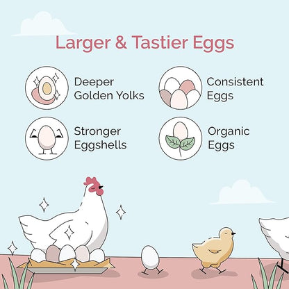Organic Chicken Feed – Layer Whole Grain, Non-GMO, USA Grown, 16% Protein, Corn-Free, Soy-Free, Non-Medicated Feed for Chickens, 2 lb Sample