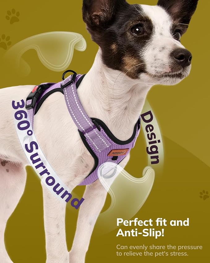 MIDOG No-Pull Dog Harness | Adjustable &amp; Reflective Pet Harness Leash Set for Small Medium Large Dogs Walking, Training| No Choke, Front Clip, Soft Padded Vest with Easy Control Handle - Purple, M
