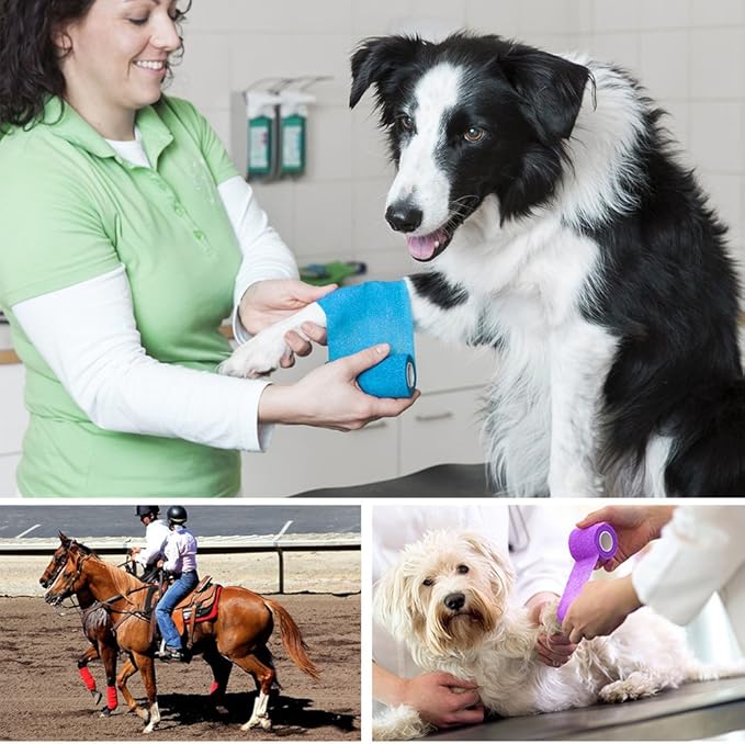 LotFancy Vet Wrap for Horses, 10 Pack, 3 inch by 5 Yards, Self Adhesive Bandage Wrap, Non-Woven Medical First Aid Tape for Pet Dog Cat Ankle Sprains &amp; Swelling, Horse Leg Wraps