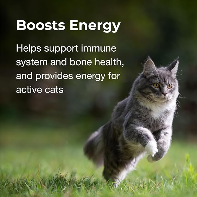 PetAg Vitamin &amp; Mineral Gel Supplement for Cats - 3.5 oz - Provides Basic Daily Vitamins &amp; Minerals for Cats 4 Months and Older - Easy to Digest