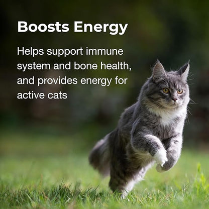 PetAg Vitamin &amp; Mineral Gel Supplement for Cats - 3.5 oz - Provides Basic Daily Vitamins &amp; Minerals for Cats 4 Months and Older - Easy to Digest