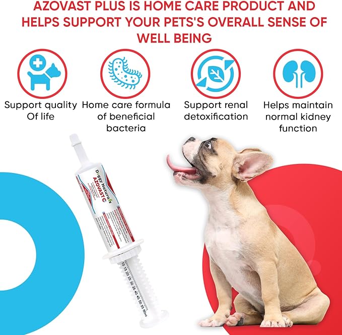 Azovast Plus Kidney Health Supplement for Dogs &amp; Cats, Oral Paste (60 cc) - NO Refrigeration Required - Help Support Kidney Function &amp; Manage Renal Toxins Chicken Flavor (Made in U.S.A(60cc)