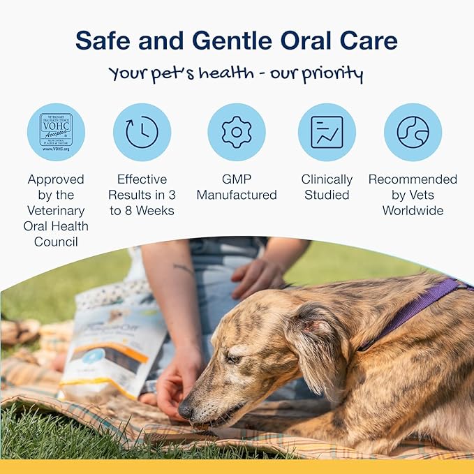 ProDen PlaqueOff System Dental Care Bones for Dogs - Dog Breath Freshener &amp; Plaque Remover - Dog Teeth Cleaning for a Healthy Mouth - Turkey Cranberry Flavor - 17 oz