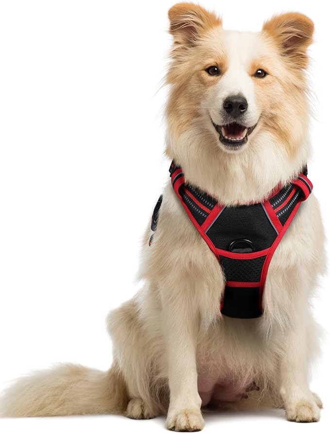 rabbitgoo Dog Harness No Pull with 2 Leash Clips, Adjustable Soft Padded, Reflective Oxford No Choke Pet Vest with Easy Control Handle for Medium Sized Dogs, Black &amp; Red, M