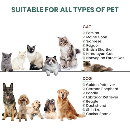 Self Cleaning Steam Brush for Cat Dog, 4 in 1 Pet Brushes for Shedding &amp; Grooming, Bath Massage &amp; Water/Mist Slicker Brush for Long Haired Cats &amp; Dogs- Pet Grooming Brushes with Spray for Cats