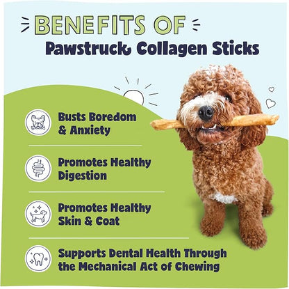 Pawstruck Natural Large 12" Beef Collagen Sticks for Dogs – Long-Lasting Rawhide Alternative, High Protein Treats with Chondroitin &amp; Glucosamine – 5 Pack