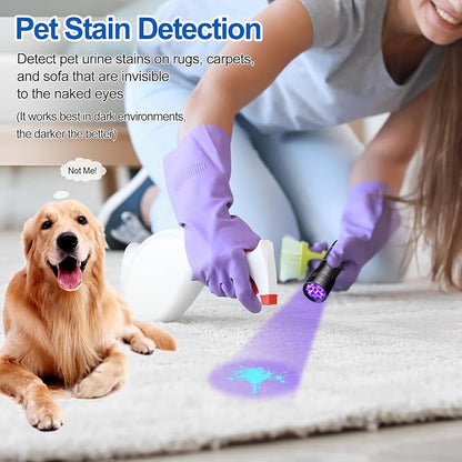 Black Light UV Flashlight,Vansky Blacklight 12 LED Urine Detector For Dog/Cat/Pet Urine &amp; Dry Stains and Bed Bug On Carpets/Rugs/Floor,Matching with Pet Odor Eliminator