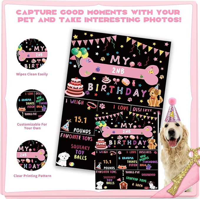 Dog Party Supplies Decorations - Cute Bandana, Let&