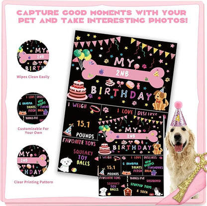 Dog Party Supplies Decorations - Cute Bandana, Let&