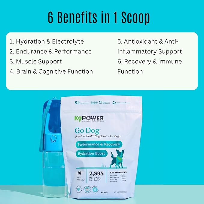 K9 Power Go Dog Hydration &amp; Performance Drink Mix 1 lb - Active Dog Supplement for Muscle Function, Endurance, Recovery, with Electrolytes Support - Pack of 2