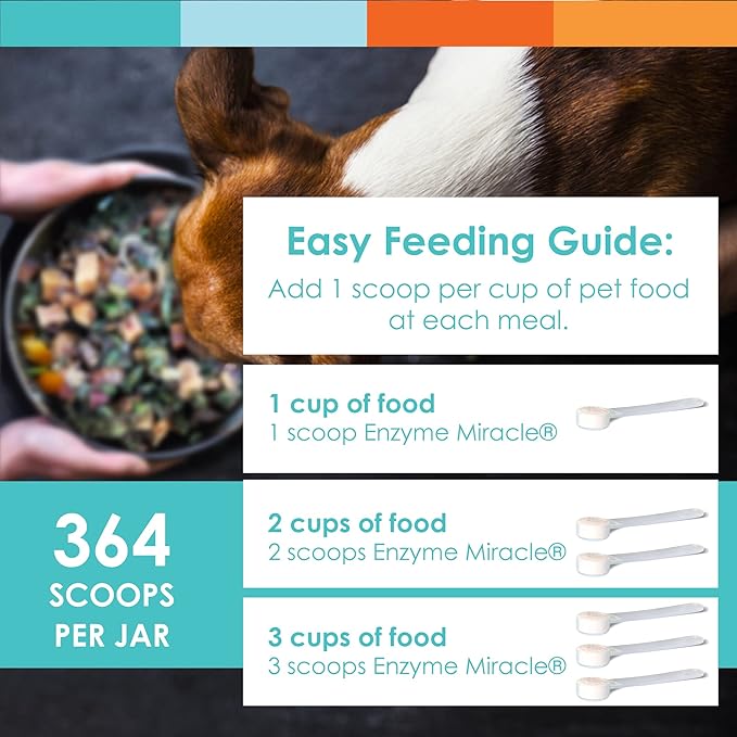 Digestive Enzymes for Dogs &amp; Cats : Protein, Carbs, Starches &amp; Fats Digestion : Supports Diet Change : Enzyme Miracle (364 Scoops, Powder)