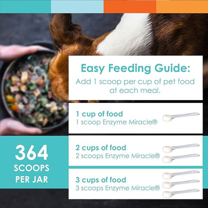 Digestive Enzymes for Dogs &amp; Cats : Protein, Carbs, Starches &amp; Fats Digestion : Supports Diet Change : Enzyme Miracle (364 Scoops, Powder)