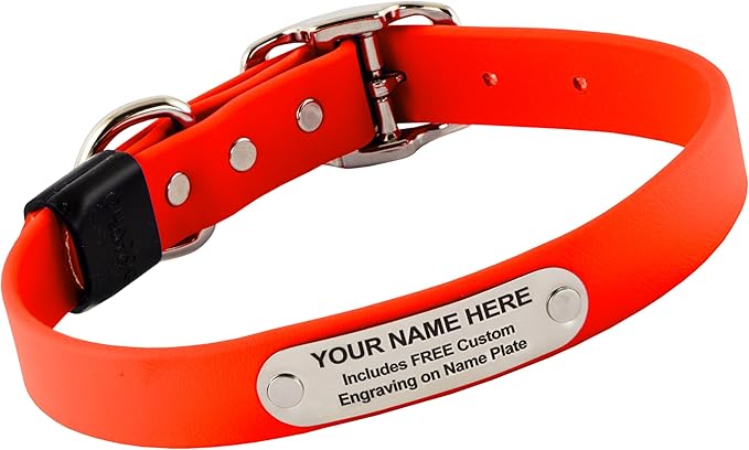 Biothane Custom Dog Collar – Waterproof, Stink-Proof Personalized Collar with Name &amp; Phone Number – Durable, Many Sizes and Colors – Assembled in USA (Hunter Orange)