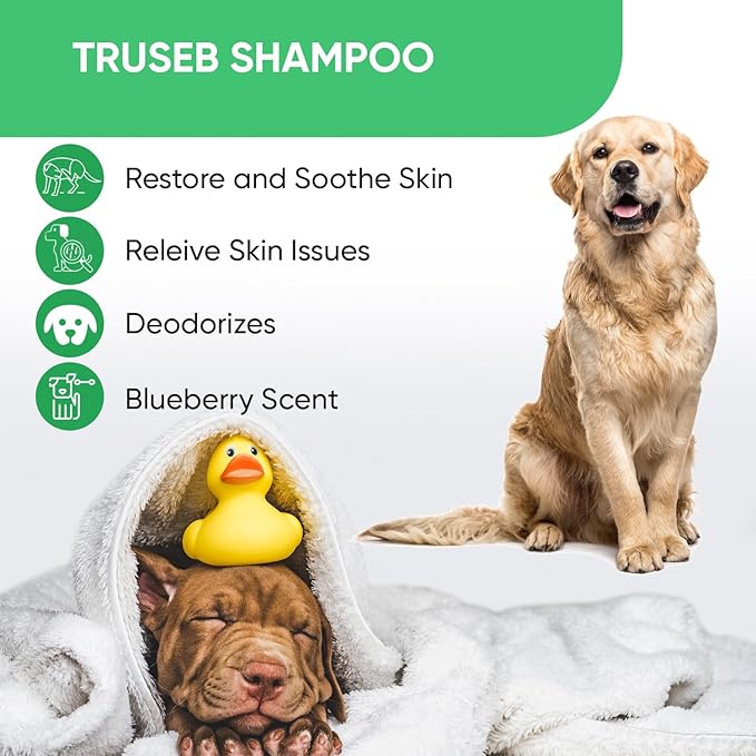 Truseb Topical Chlorhexidine 4% Shampoo for Dogs, Cats &amp; Horses (12 oz)- with Aloe for Cleansing (Chlorhexidine 4% Shampoo, 12 oz)