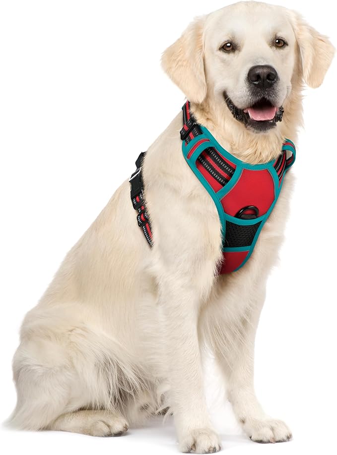 rabbitgoo Dog Harness No Pull with 2 Leash Clips, Adjustable Soft Padded, Reflective Oxford No Choke Pet Vest with Easy Control Handle for Large Dogs, Red &amp; Teal, XL