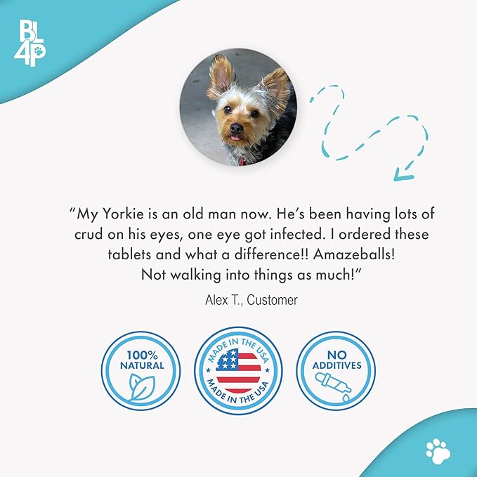 Dog Eye Care &amp; Infection Treatment, Natural Dog Supplements for Conjunctivitis, Swelling, Dry Eyes and Discharge, Easy to Use, No More Struggle with Canine Drops, 400 Small Pills