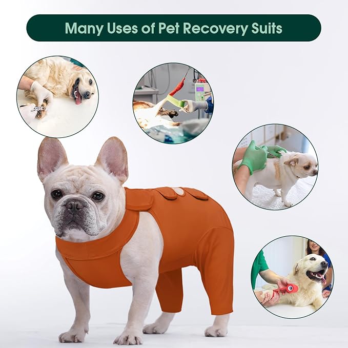 Kuoser Dog Recovery Suit for Back Legs &amp; Thigh Wounds - Brown XL