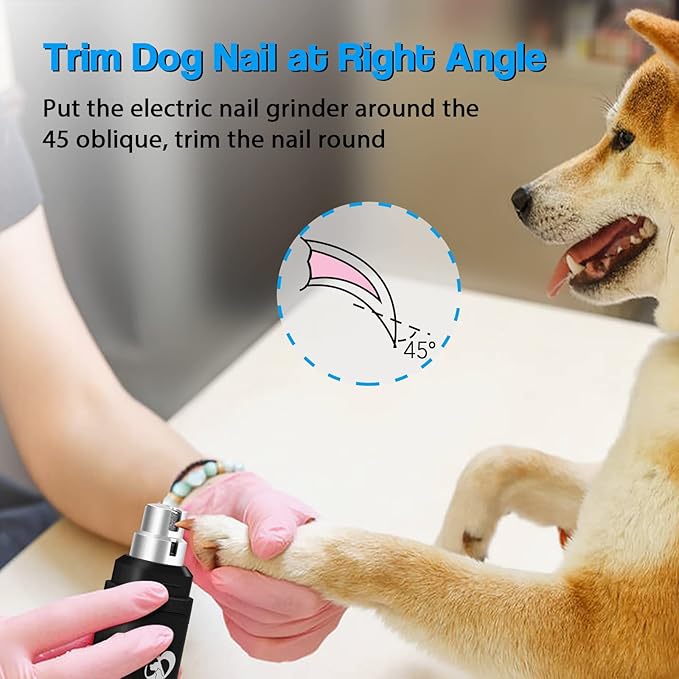 Casfuy Dog Nail Grinder Upgraded - Professional 2-Speed Electric Rechargeable Pet Nail Trimmer Painless Paws Grooming &amp; Smoothing for Small Medium Large Dogs &amp; Cats (Black)