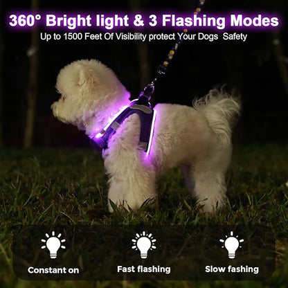 Light Up Dog Harness,Rechargeable LED Dog Harness for Small Medium Large Dogs,Reflective Lighted Safety Vest for Night Walking &amp; Camping,Lightweight &amp; Adjustable,Purple,XS