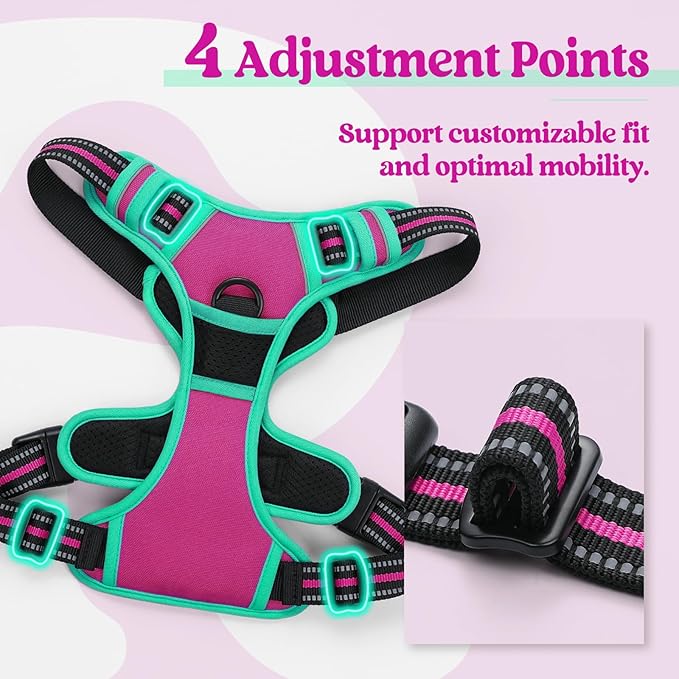 rabbitgoo Dog Harness No Pull with 2 Leash Clips, Adjustable Soft Padded, Reflective Oxford No Choke Pet Vest with Easy Control Handle for Large Dogs, Hot Pink &amp; Turquoise, S