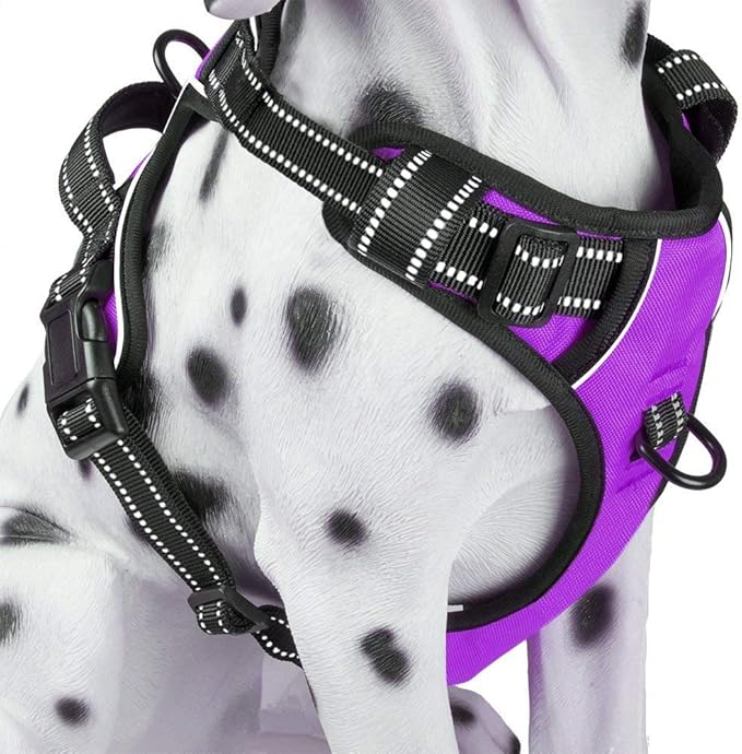 PoyPet No Pull Dog Harness, Reflective Comfortable Vest Harness with Front &amp; Back 2 Leash Attachments and Easy Control Handle Adjustable Soft Padded Pet Vest for Small to Large Dogs (Purple,XS)