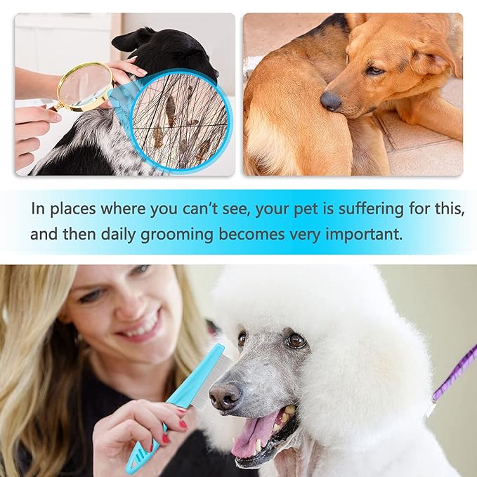 Cat &amp; Dog Grooming Set - Fine Tooth Comb for Removing Dandruff Flakes &amp; Hair (Blue)